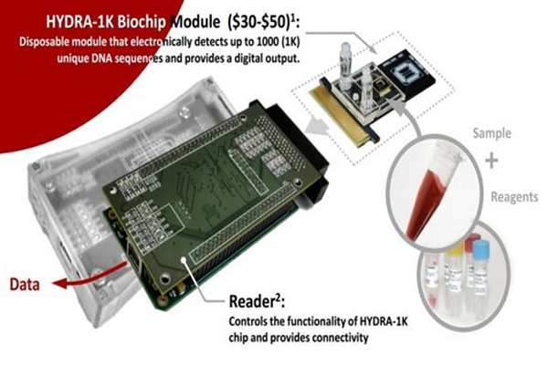 Microfluidic Chip-type Spectrometer